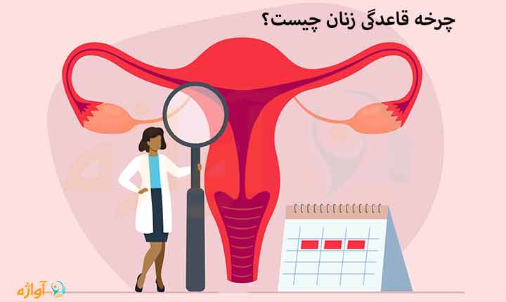 چرخه قاعدگی زنان چیست؟