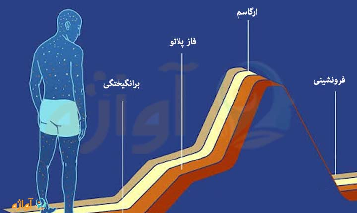 انواع علائم ظاهری تحریک مردان